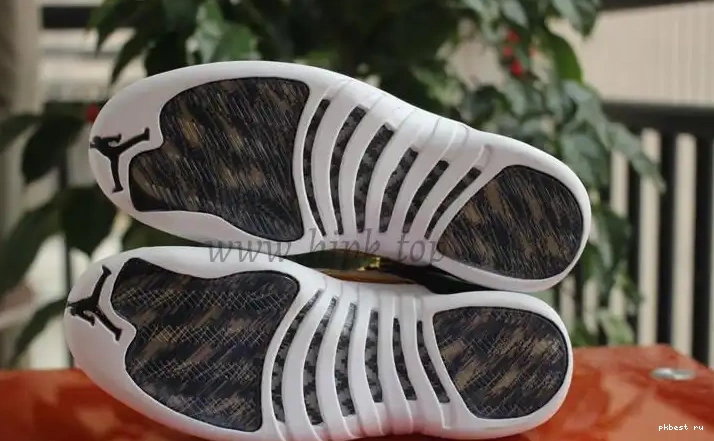 Air Retro Wings Jordan 12 Authentic 0519
